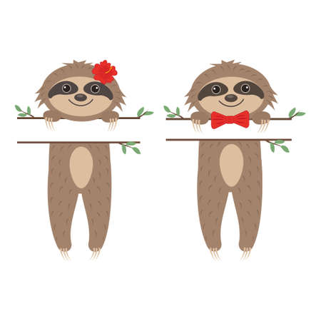 Cute sloth character boy and girl, with text separator. color isolated vector illustration in cartoon style design.のイラスト素材