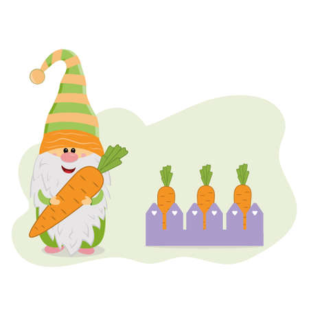 funny gnome with a carrot next to a carrot bed, vector isolated illustration in flat style.のイラスト素材