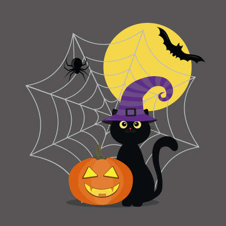 Black cat in a witch hat on Halloween with a pumpkin, on the background of a spider web with a spider.のイラスト素材