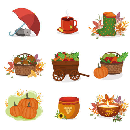 a set of compositions on the theme of autumn, a color vector illustration in the style of a cartoonのイラスト素材