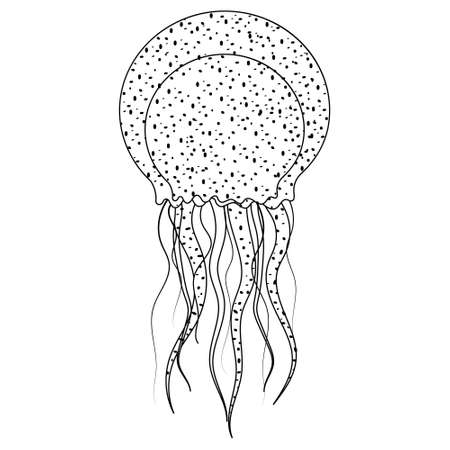 Sea jellyfish, black outlineのイラスト素材