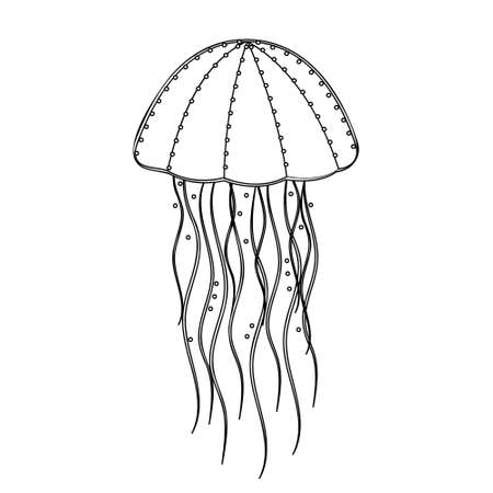 Sea jellyfish black outline, coloring, vector illustrationのイラスト素材