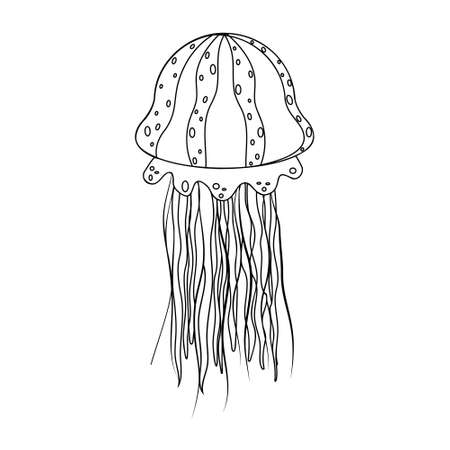 Sea jellyfish black outline, coloring, vector illustration.のイラスト素材