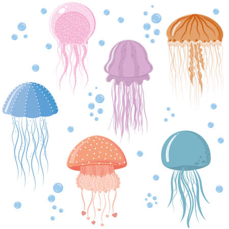 jellyfish pattern, color vector illustration on a white background.のイラスト素材