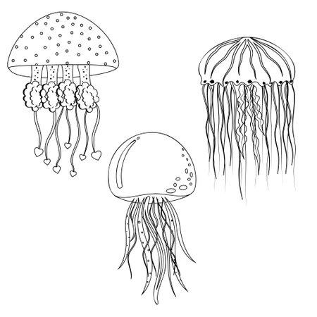 Sea jellyfish, black outline, coloring vector illustration.のイラスト素材
