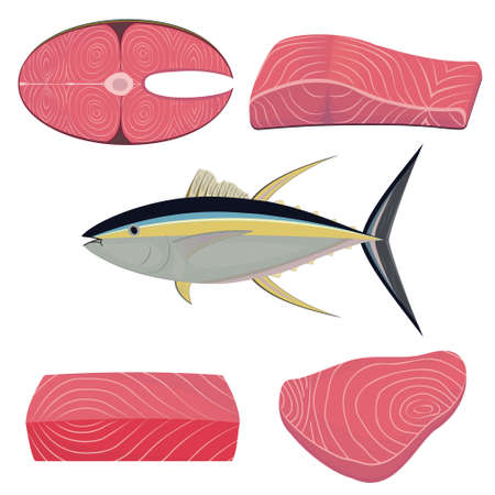 Tuna fish in section, color vector isolated illustrationのイラスト素材