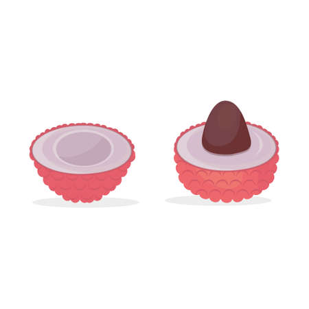 Tropical lychee fruit, color isolated vector illustrationのイラスト素材