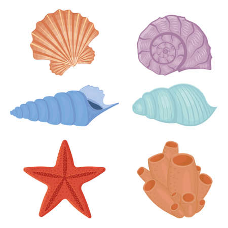 A set of colored seashells. Isolated vector illustration on a white backgroundのイラスト素材