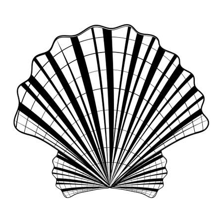 Isolated seashell. Vector illustration of a black contour line, in the style of a doodle.のイラスト素材