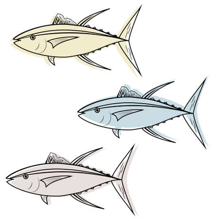 Tuna fish isolated on a white background, color vector illustrationのイラスト素材