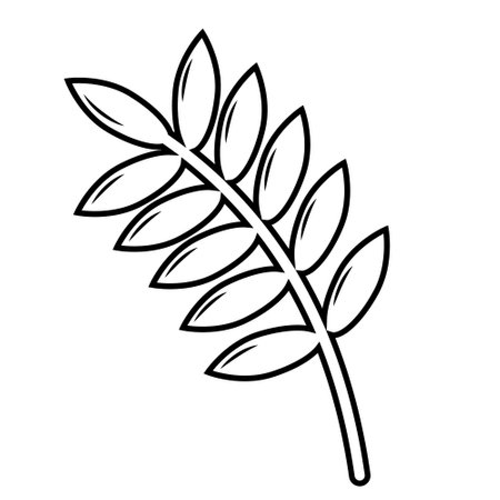 Autumn plants doodle elements. Contour elements of the plant in autumn. Vector graphicsのイラスト素材