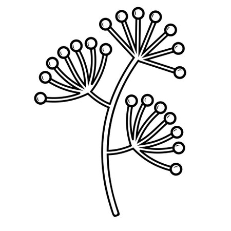 Autumn plants doodle elements. Contour elements of the plant in autumn. Vector graphicsのイラスト素材