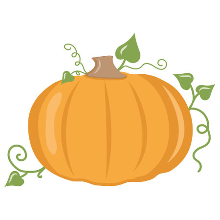 Autumn vegetable pumpkin, color vector isolated illustration iconのイラスト素材