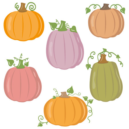 Vector set of orange pumpkins isolated on a white background.のイラスト素材