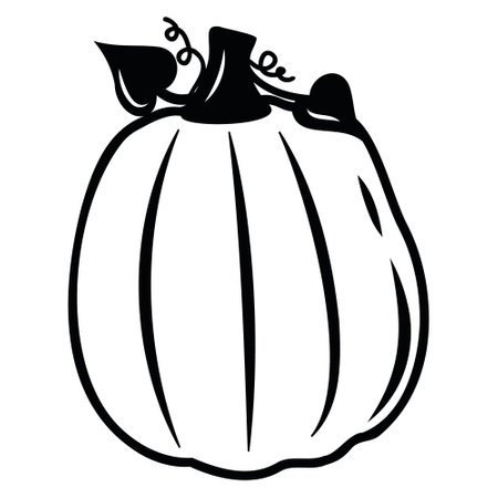 Autumn vegetable pumpkin, black outline, vector isolated illustration in doodle styleのイラスト素材