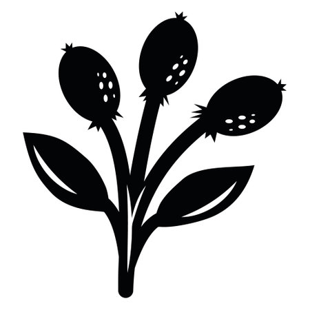 Elements of doodles of autumn plants. Elements of the plant in autumn. Stencil, vector graphicsのイラスト素材