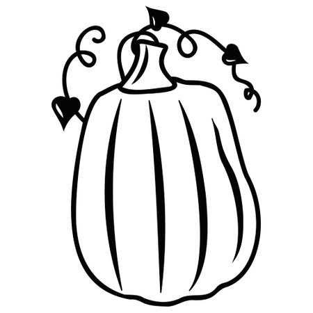Autumn vegetable pumpkin, black outline, vector isolated illustration in doodle styleのイラスト素材