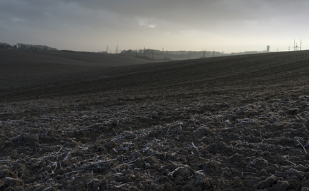 Autumn Morning in The Farmlandの写真素材