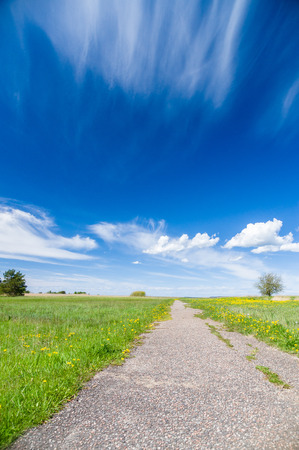 Vanishing footpath at blossom field under blue skyの写真素材