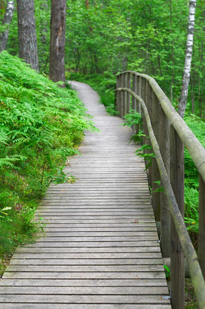 Wooden boardwalk with safety railing in summer forestの写真素材