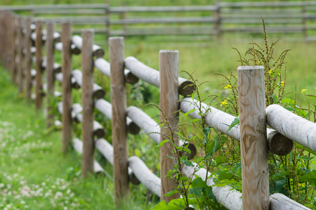Rural wooden hedge closeup, part of farm cattle-penの写真素材