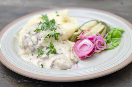 Mashed potatoes with creamy mushroom sauce and pickled red onions, shallow depth of fieldの写真素材
