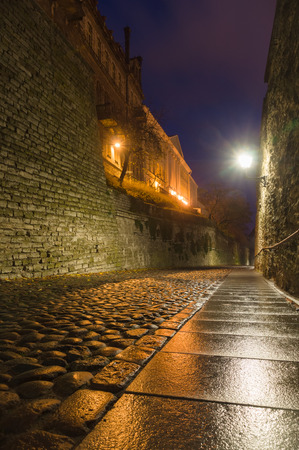 Pikk Jalg Long Leg street, Tallinn, Estonia. Long exposure night viewの写真素材