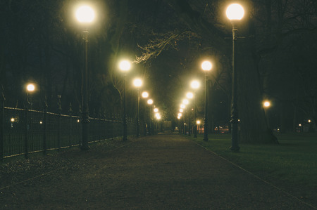 Night park alley illuminated by lampposts, vintage toningの写真素材