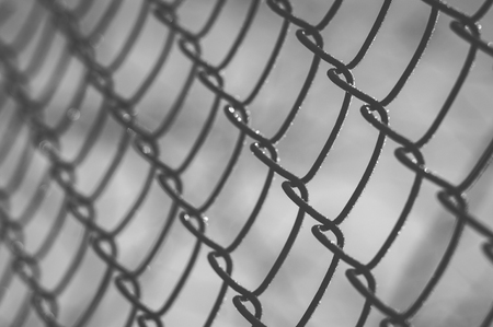 Closeup on wire mesh covered with rime on sunrise, shallow depth of field, black and white image