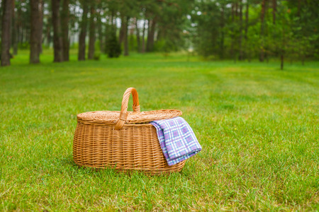 Picnic basket with blue white checkered napkin on grass. Summertime park lawn in the backgroundの写真素材