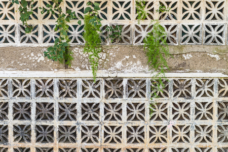Decorative concrete blocks wall with different creeping plants backgroundの写真素材
