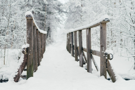 Wooden bridge covered by snow in wintery forestの写真素材