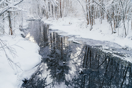 Small woodland river in snowy dreamlike forest by winter morningの写真素材