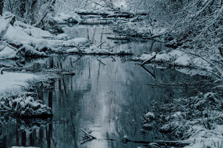 Runlet in the middle of snowy forest, winter-time landscapeの写真素材