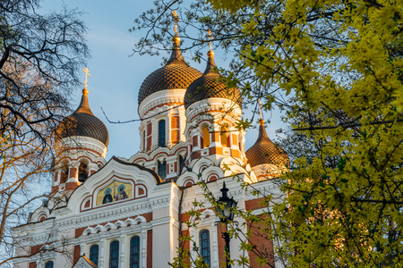 Alexander Nevsky Cathedral view through springtime flowers, Tallinn, Estoniaの写真素材