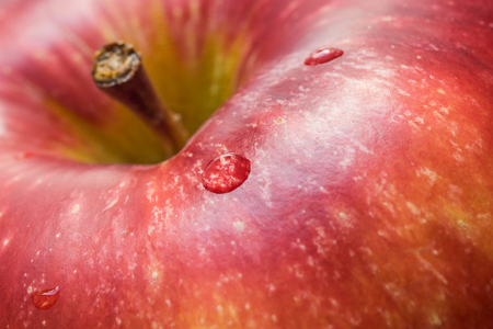 Macro of red apple with some drops, extreme closeup, selective focusの写真素材