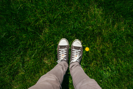 Teenage legs in sneakers and grey jeans standing on lush springtime grass with single dandelion flower, top viewの写真素材