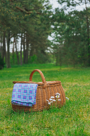 Picnic basket and blue white checkered napkin on lawn with daisy flowers. Vertical view. Weekend break conceptの写真素材