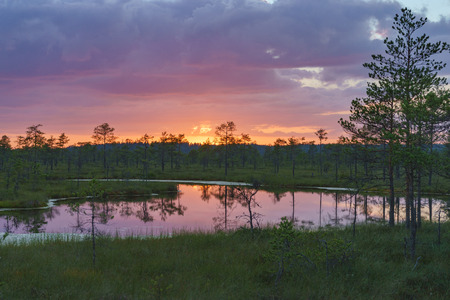 Wonderful sunset with colorful clouds over Suru Suursoo bog, Harju county, Estoniaの写真素材