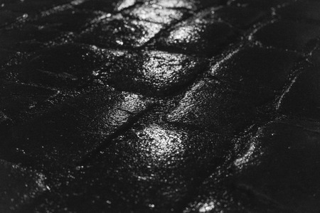Night light reflection on wet cobblestone pavement after rain. Black and white image with selective...
