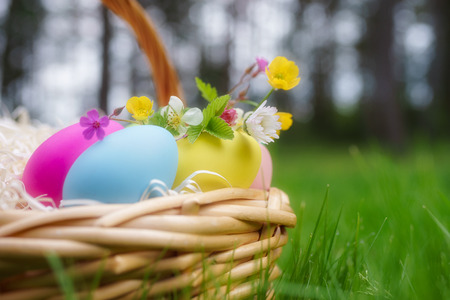 Basket with colorful eggs and springtime flowers on green grass. Happy easter backgroundの写真素材