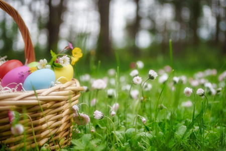 Basket with colorful eggs on springtime lawn with daisy flowers. Happy easter backgroundの写真素材