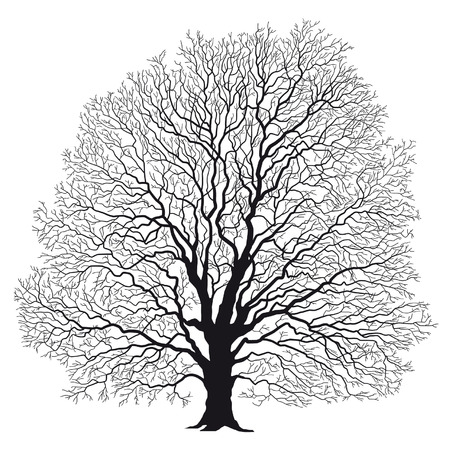 tree silhouette blackのイラスト素材