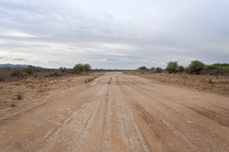 Moisture Namibian gravel road in the small rainy seasonの写真素材