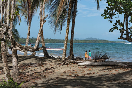 Beach in Puerto Viejo, Costa Ricaのeditorial素材