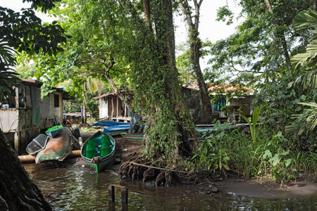 Boats on the banks of the Tortuguero river in Tortuguero, Costa Ricaのeditorial素材