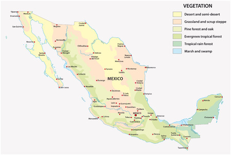 vegetation vector map of mexico country with important citiesのイラスト素材