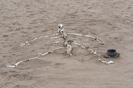 human skeleton built from animal bones on the Skeleton Coast in Namibiaの写真素材