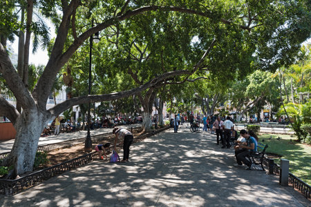 View of Plaza Grande Square or Plaza de la Independencia in Merida, Mexicoのeditorial素材