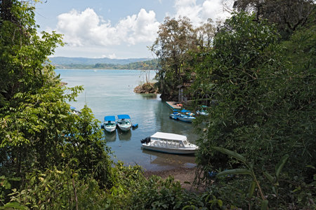 Boats in the mouth of the Rio Agujitas in the Drake Bay, Costa Rica